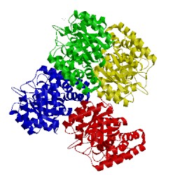 Image of CATH 3pb0