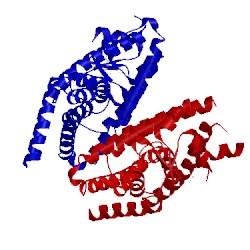 Image of CATH 3pba