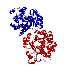 Image of CATH 3pbm