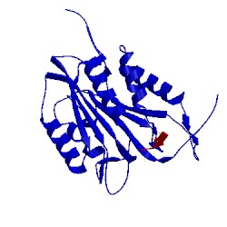 Image of CATH 3pcx