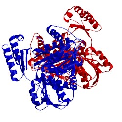 Image of CATH 3pdk