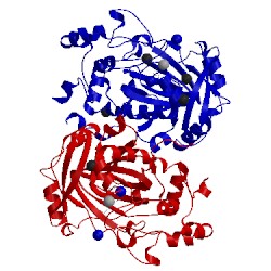 Image of CATH 3pdq