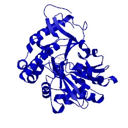 Image of CATH 3pdx