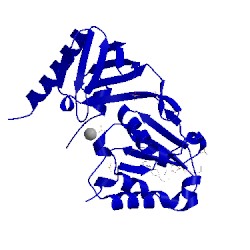 Image of CATH 3peg