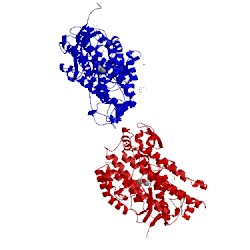 Image of CATH 3per