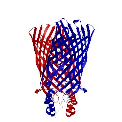Image of CATH 3pf1