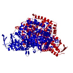 Image of CATH 3pfl