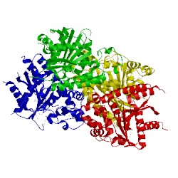 Image of CATH 3pg5