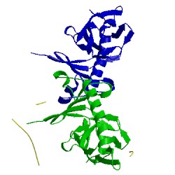 Image of CATH 3pgd