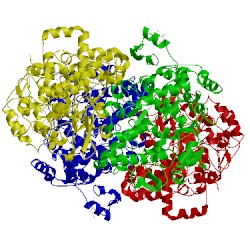 Image of CATH 3pgh