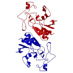 Image of CATH 3pgm