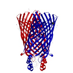 Image of CATH 3pgs