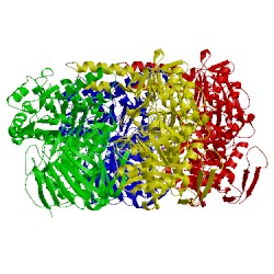 Image of CATH 3pha