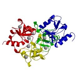 Image of CATH 3phd