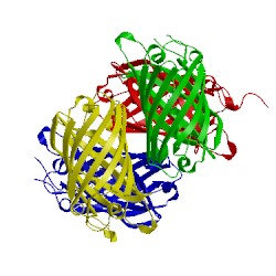 Image of CATH 3pib