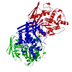 Image of CATH 3pic