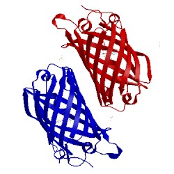 Image of CATH 3pj5