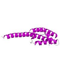 Image of CATH 3pjaG01