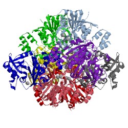 Image of CATH 3pkp