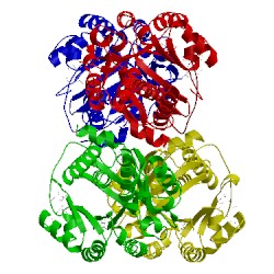 Image of CATH 3pl2