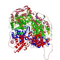 Image of CATH 3pmk