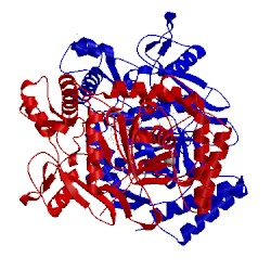 Image of CATH 3pnh