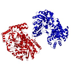 Image of CATH 3pph