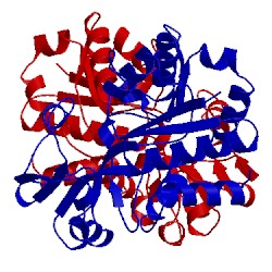 Image of CATH 3ppn