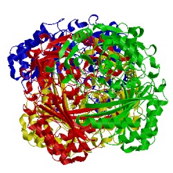 Image of CATH 3pqb