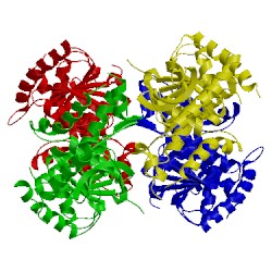 Image of CATH 3pqe