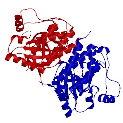 Image of CATH 3prf