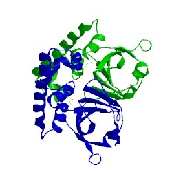 Image of CATH 3prp