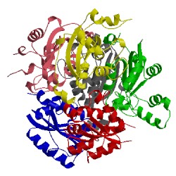 Image of CATH 3prv