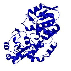 Image of CATH 3psa