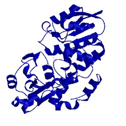 Image of CATH 3psh