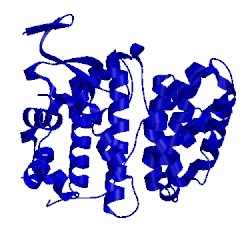 Image of CATH 3pst