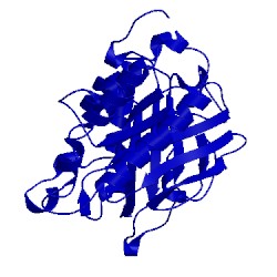 Image of CATH 3ptd