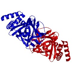 Image of CATH 3pub