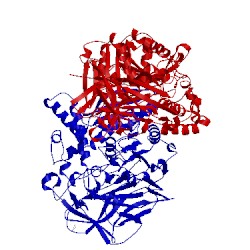 Image of CATH 3puh