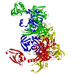 Image of CATH 3pv5