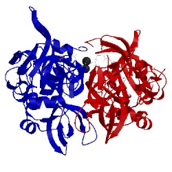 Image of CATH 3pvq