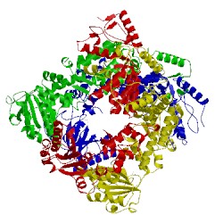 Image of CATH 3pvs