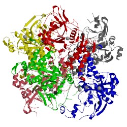 Image of CATH 3pw3