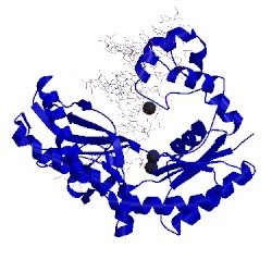 Image of CATH 3pw5