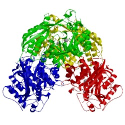 Image of CATH 3pwg