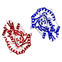 Image of CATH 3pwi