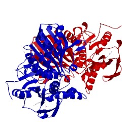 Image of CATH 3pwk