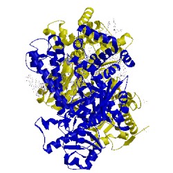 Image of CATH 3px4