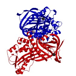 Image of CATH 3q02