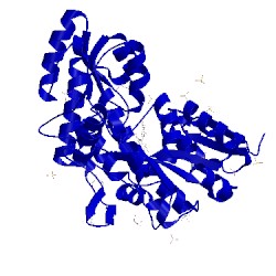 Image of CATH 3q25